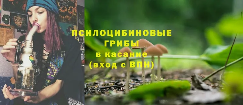 Псилоцибиновые грибы Magic Shrooms  маркетплейс как зайти  Коркино  наркота 